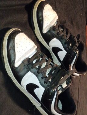 Nike Dunks